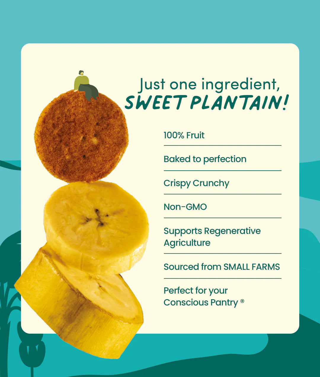 Sweet Plantain Chips